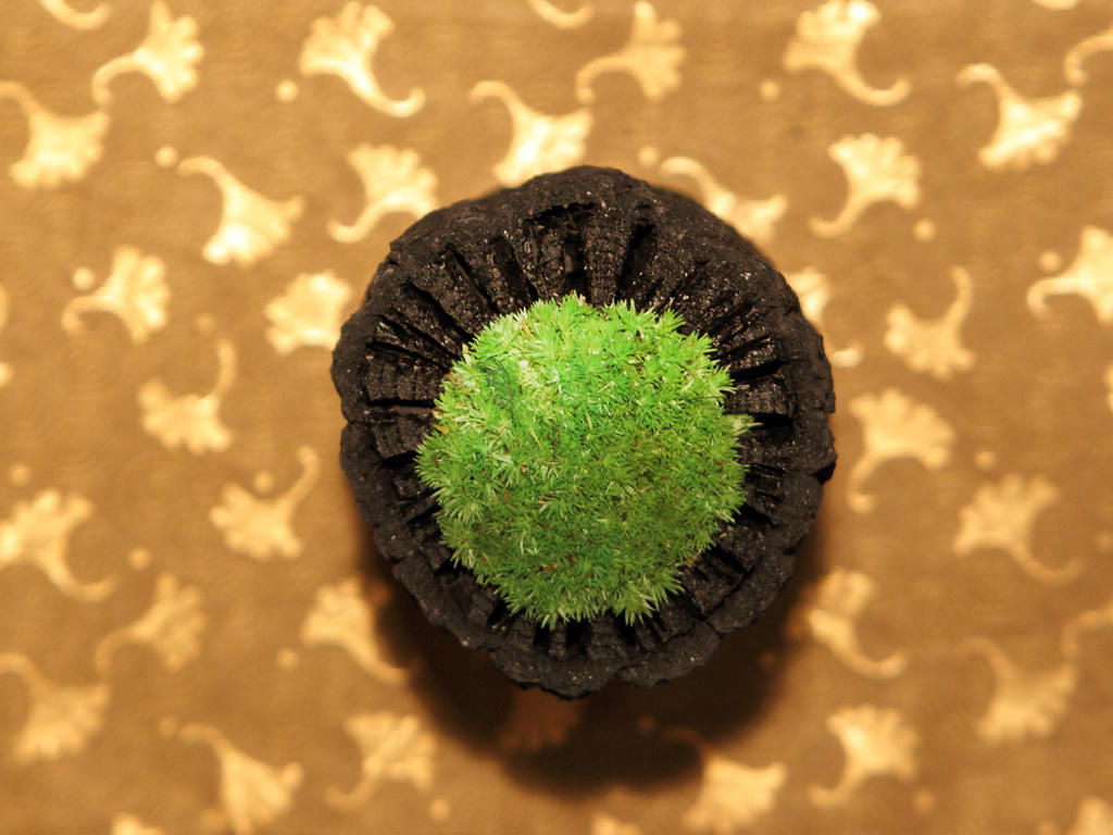 Asaya Hotel Nikko Buitenkant foto A green Starburst